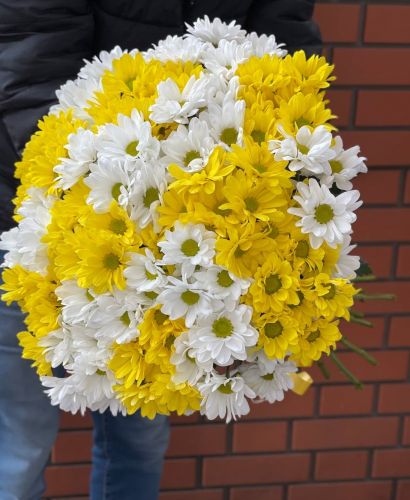 Купить букет из разноцветных хризантем с доставкой по Альметьевску
